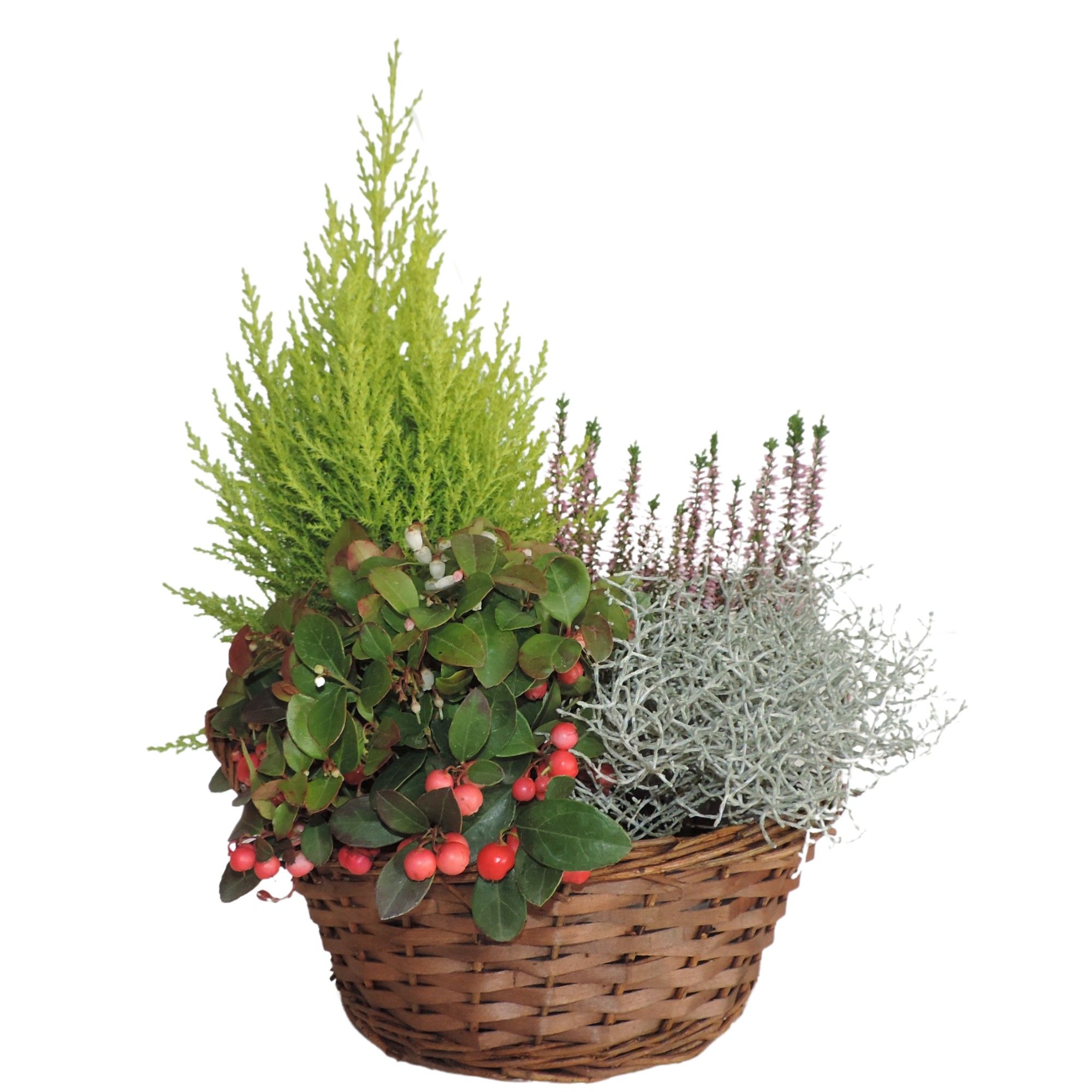 Collectie Hanoi Arrangement in Mand 25 cm, D 25