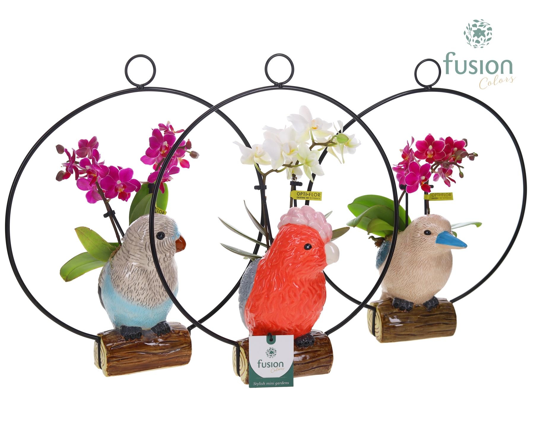 Keramiek vogels in de ring met Phalaenopsis, D 28