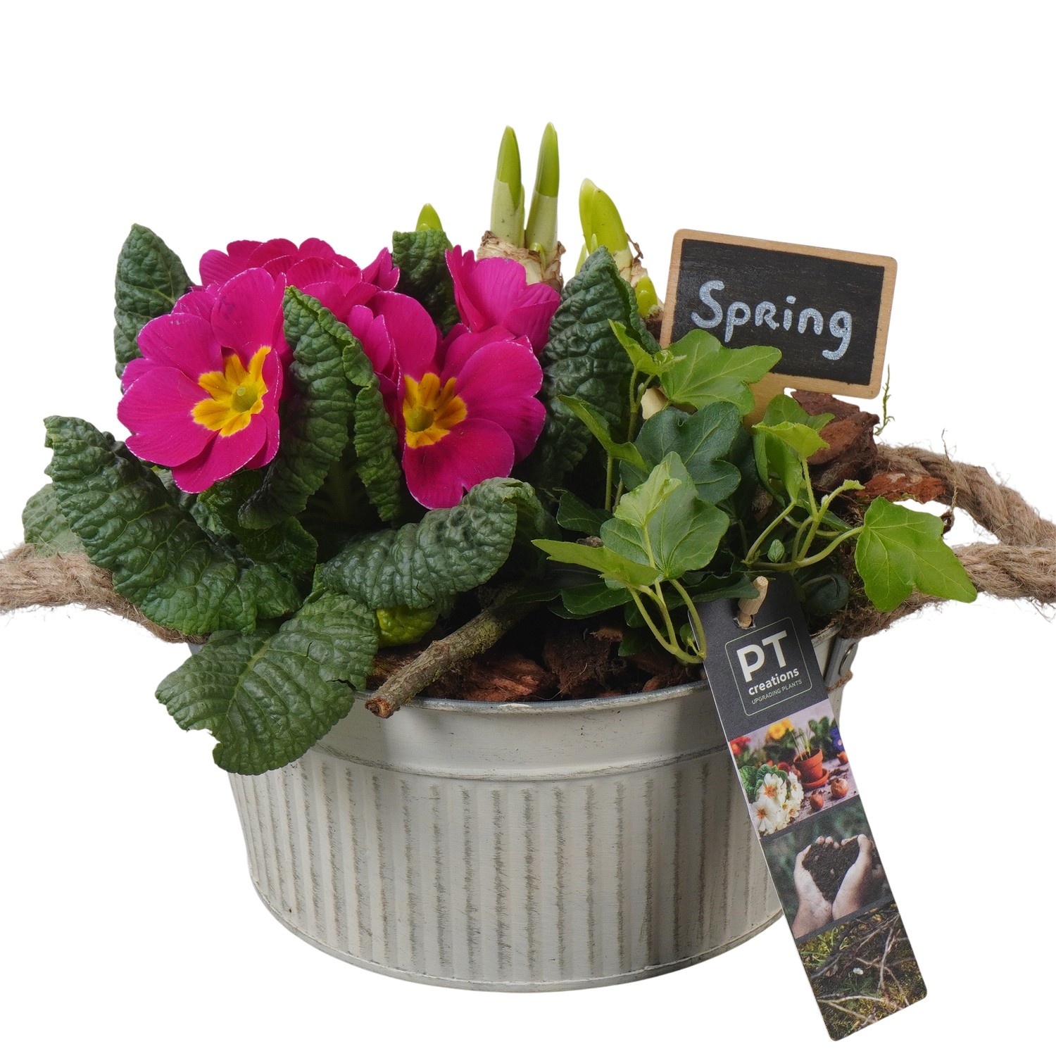 PTBM3775 Arrangement Flower Bulbs Mix in metalen pot, D 19
