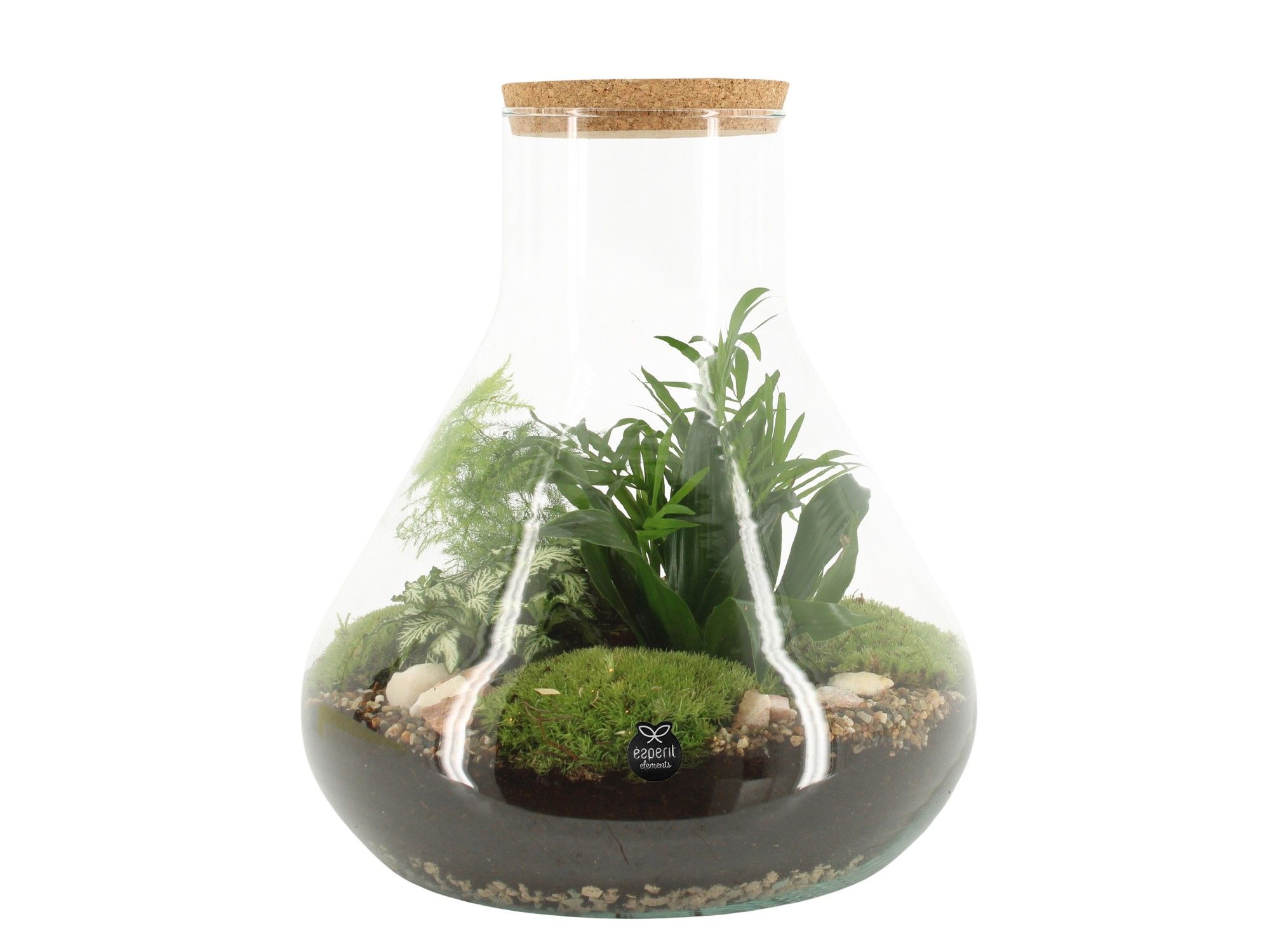 90077: Terrarium arrangement, D 30