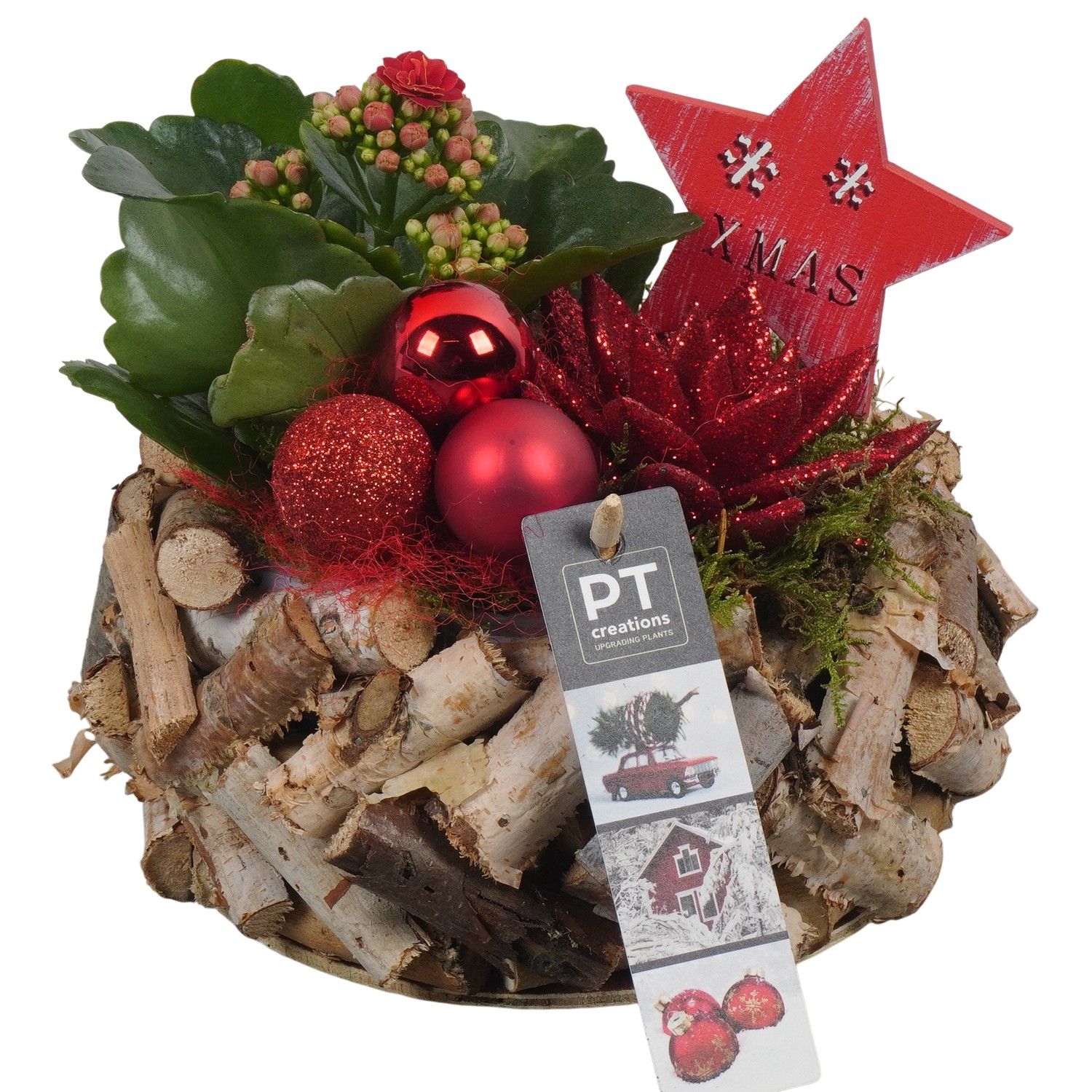 PTCHR7350 Arrangement Christmas Red in houten pot, D 20 cm