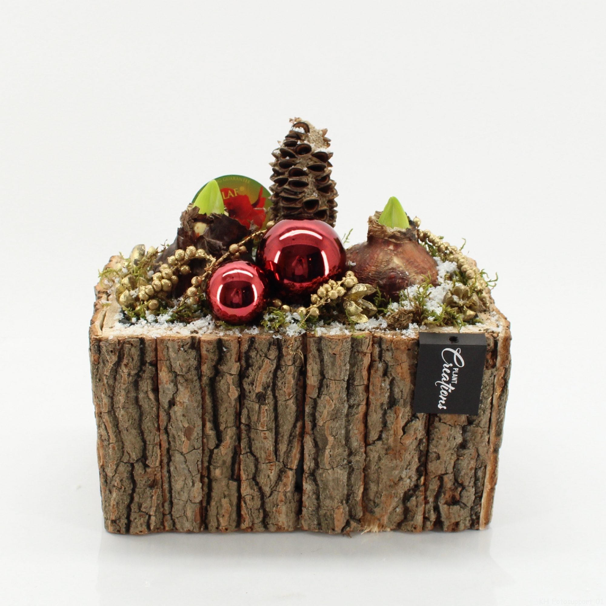 HICR-2529R Kerst Amaryllis, D 26 cm