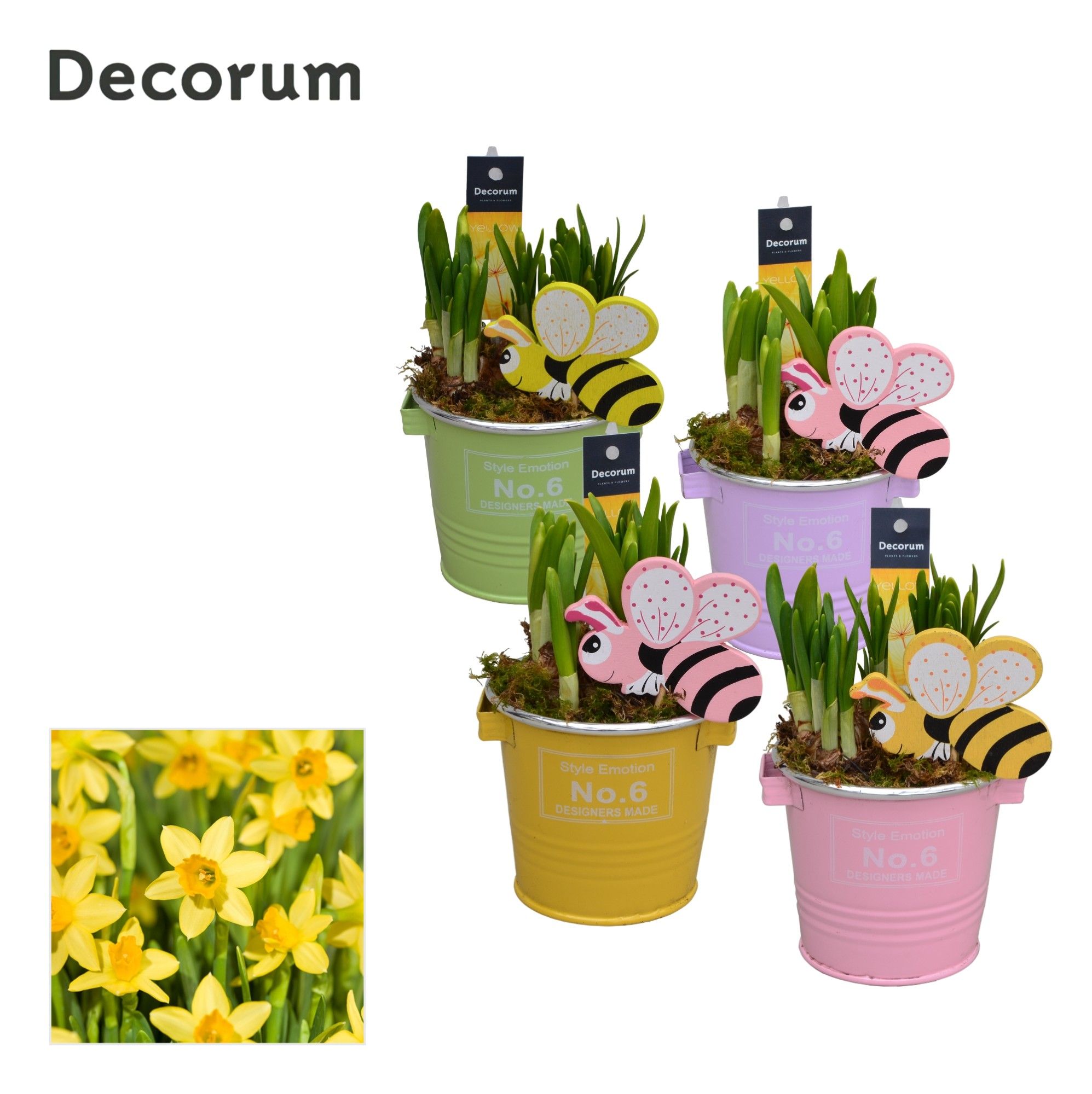 Narcis Colourful Bucket Mini GM HL10947, D 10