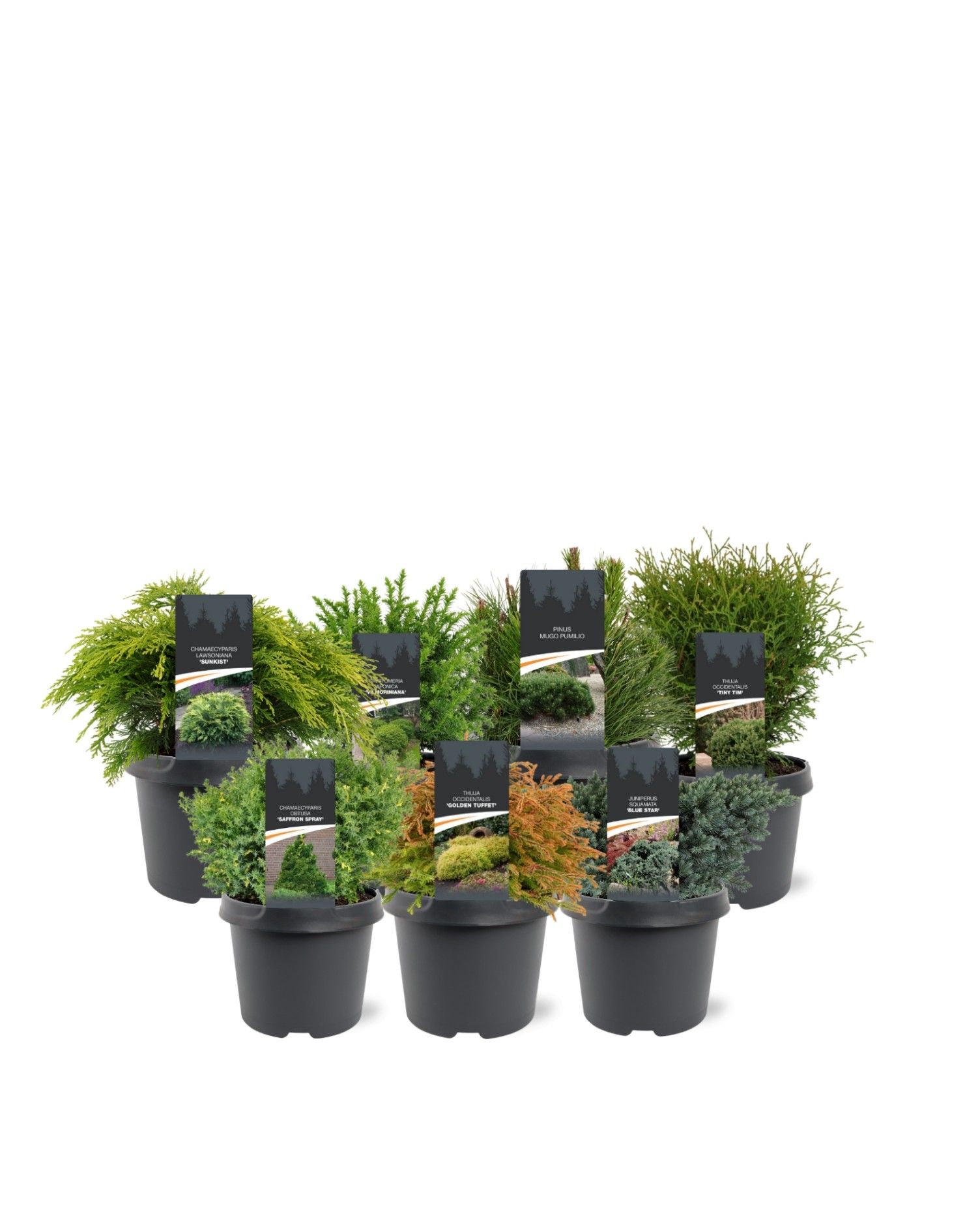 mixlaag C3 standaard (mix kan afwijken van foto), D 19