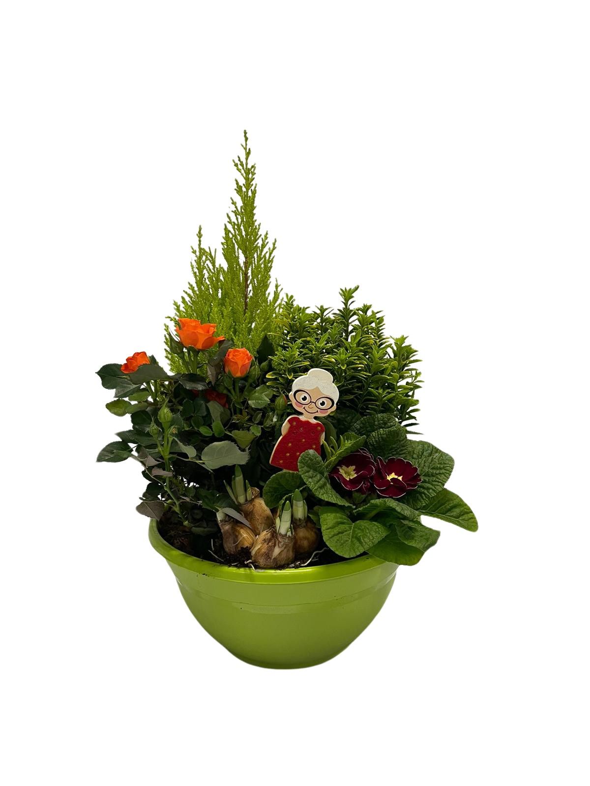 Buitenschaal arrangement GM3 Middel Lime Groen, D 27