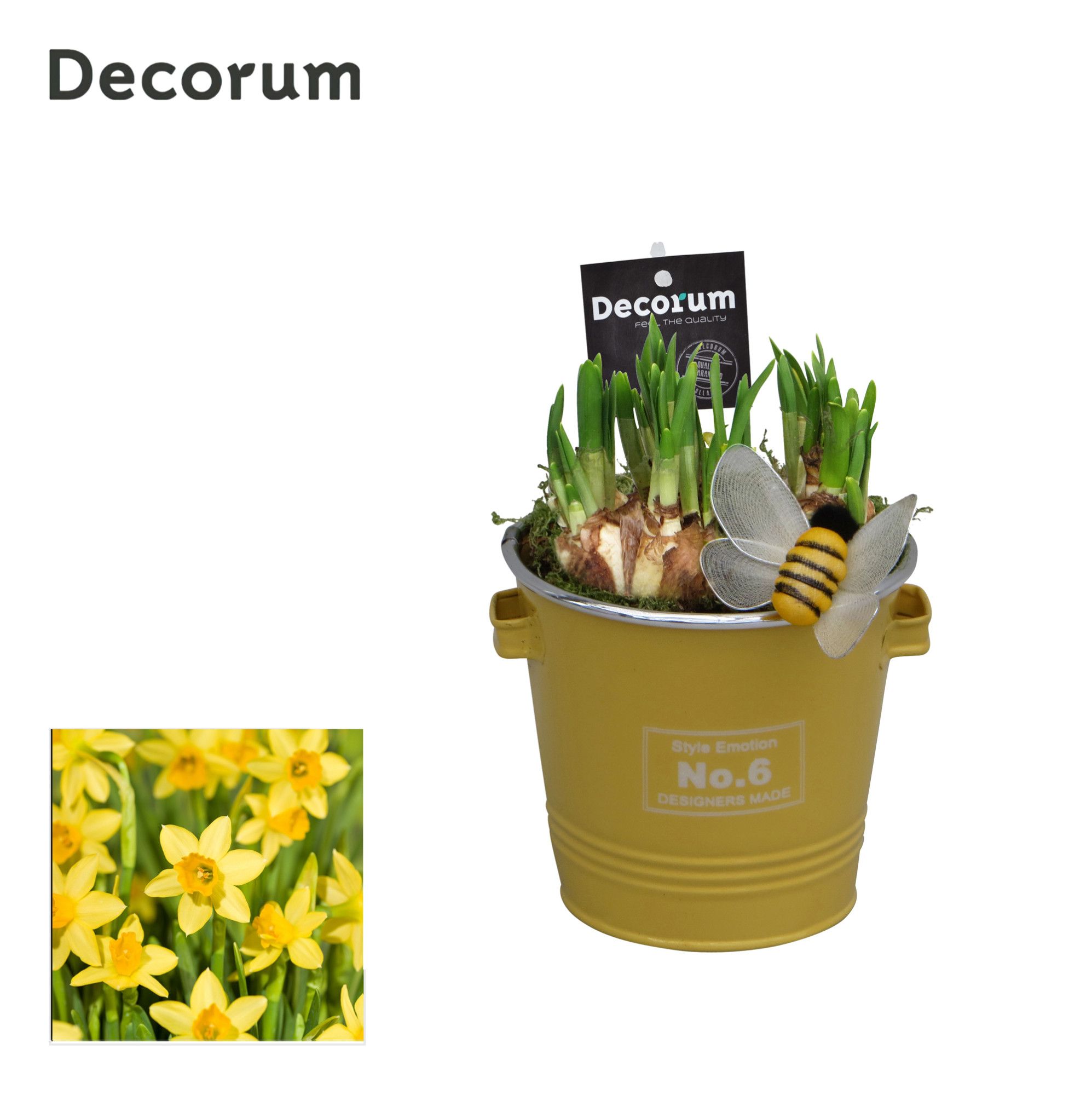 Narcis Colourful Bucket HL16583N, D 13