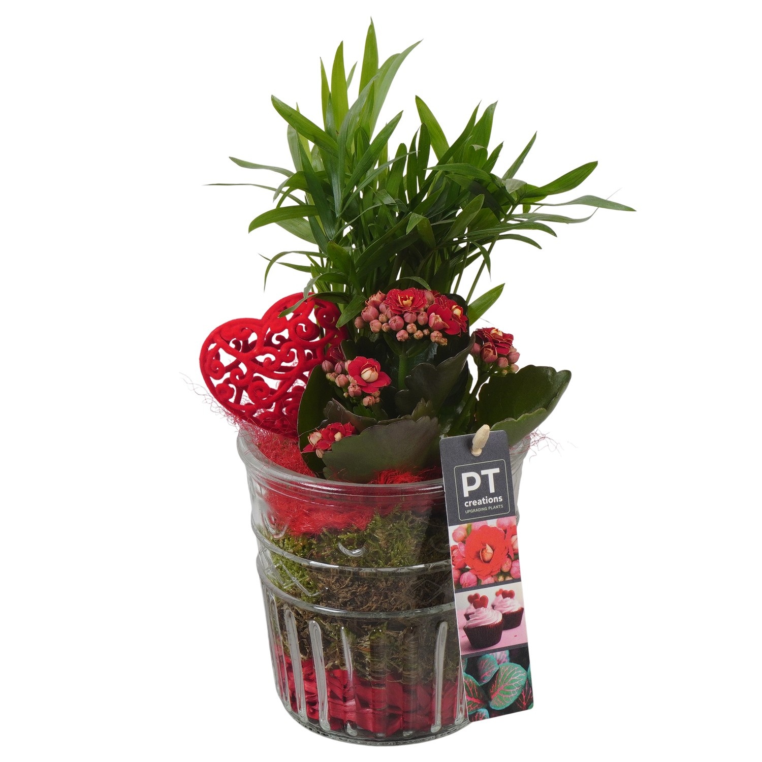 PTVMG4957 Arrangement Valentines-Mothersday in glas vaas, D 12