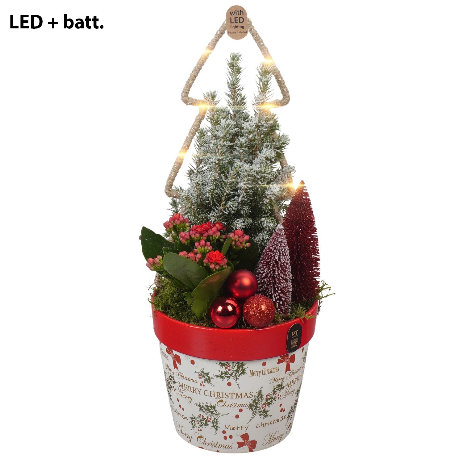 PTCHR9542 Arrangement Christmas Red in keramiek pot met LED, D 16