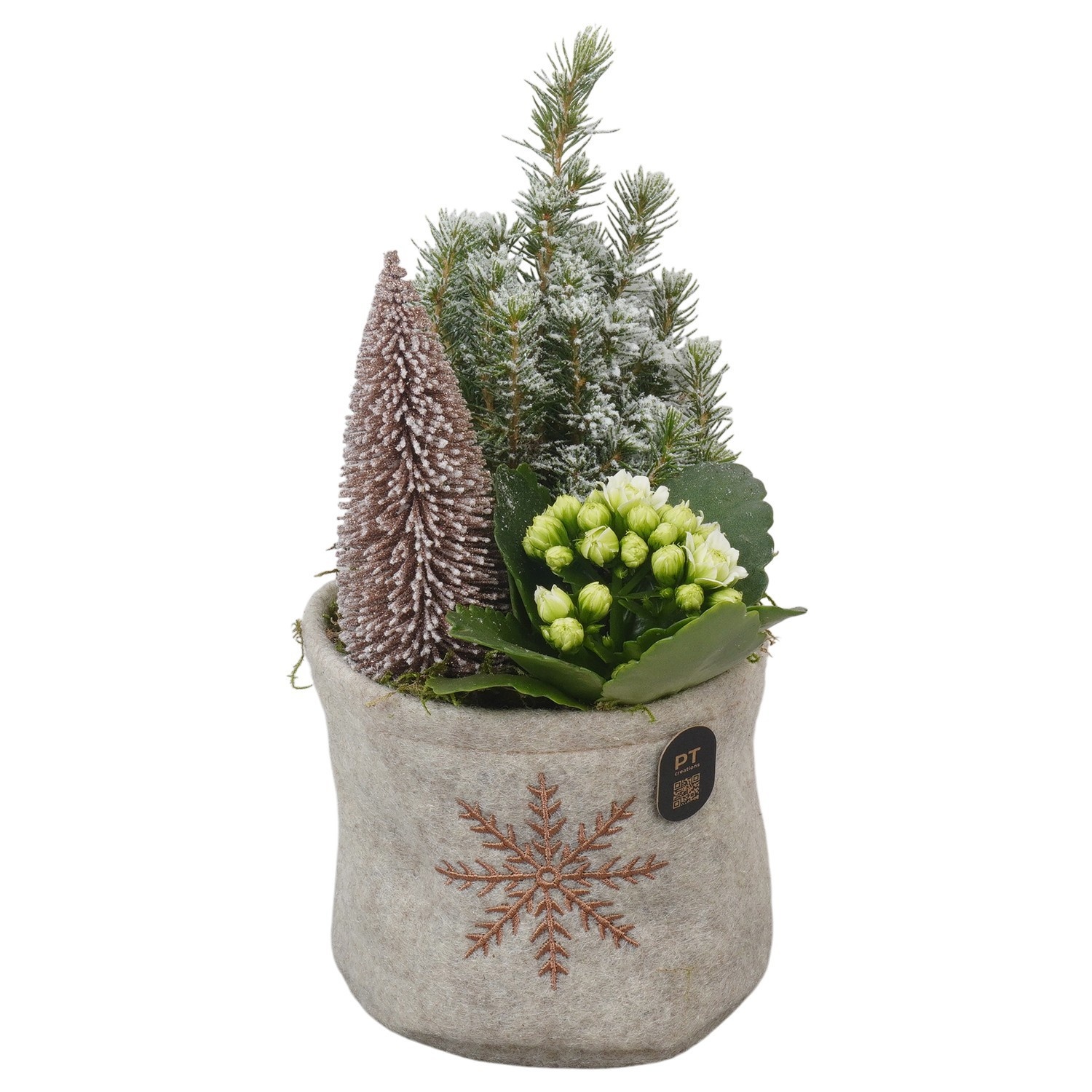 PTCHB5843 Arrangement Christmas Bronze in stoffen zak, D 13