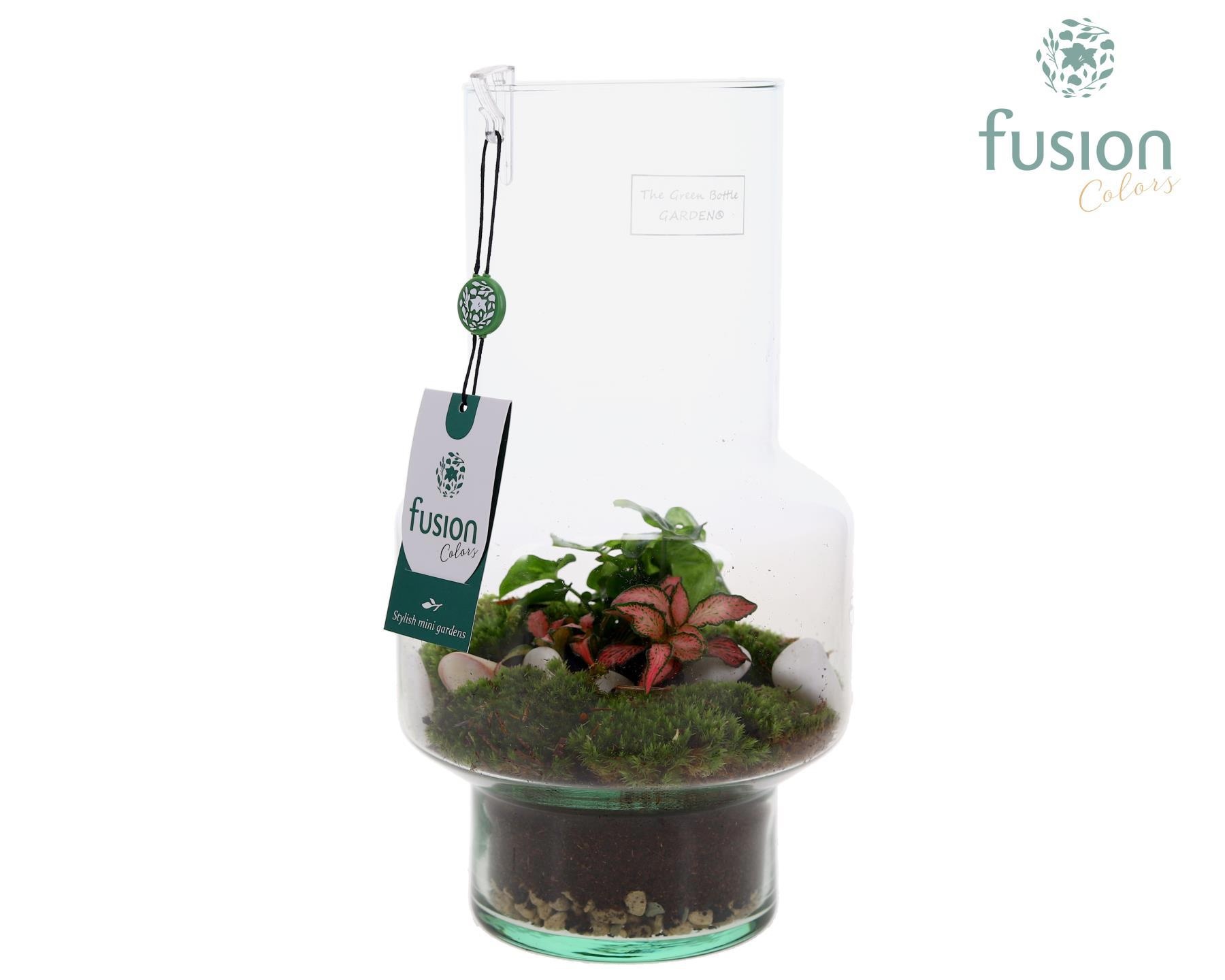 Green BottleMia Medium met Arrangement, D 16