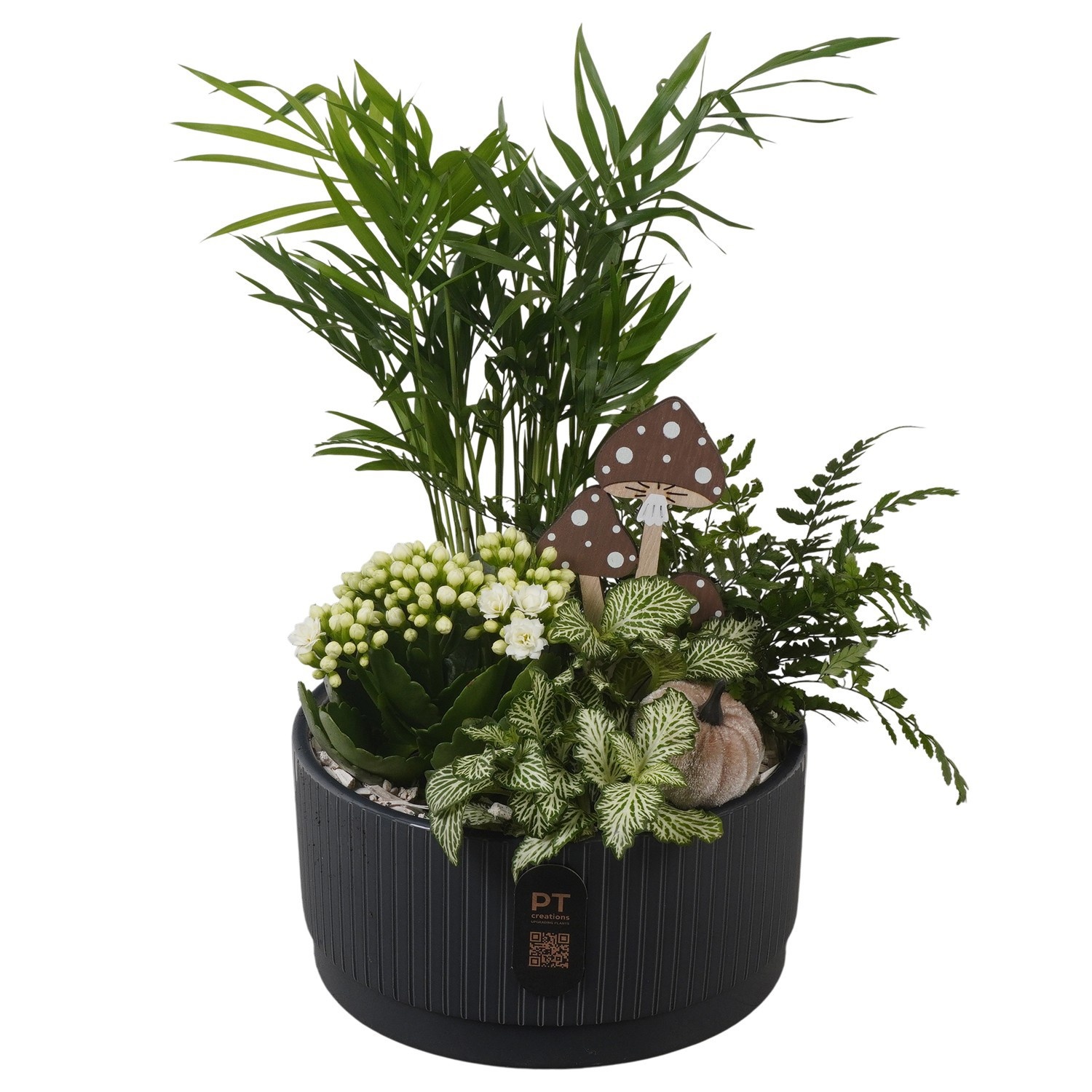 PTHI3225 Arrangement Autumn Indoor in keramiek schaal, D 19