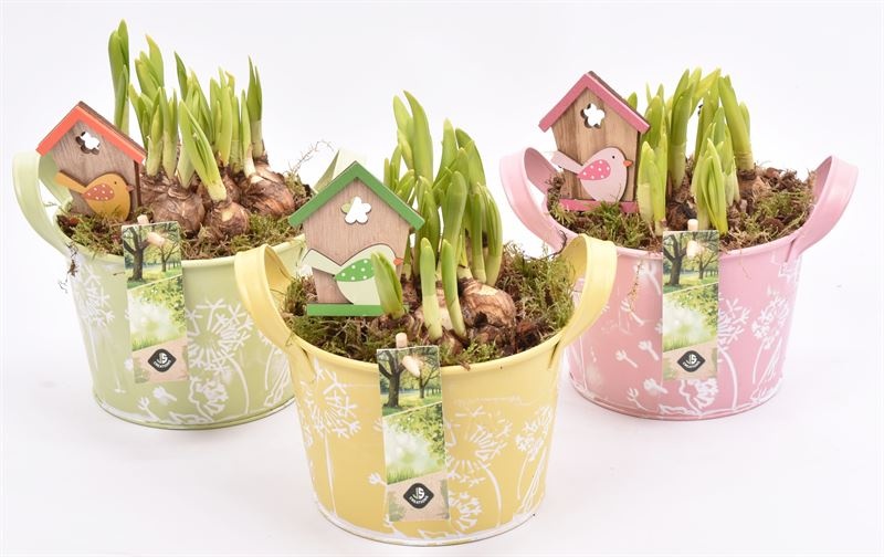 Zink schaal decor mix kl 15.5cm, D 15