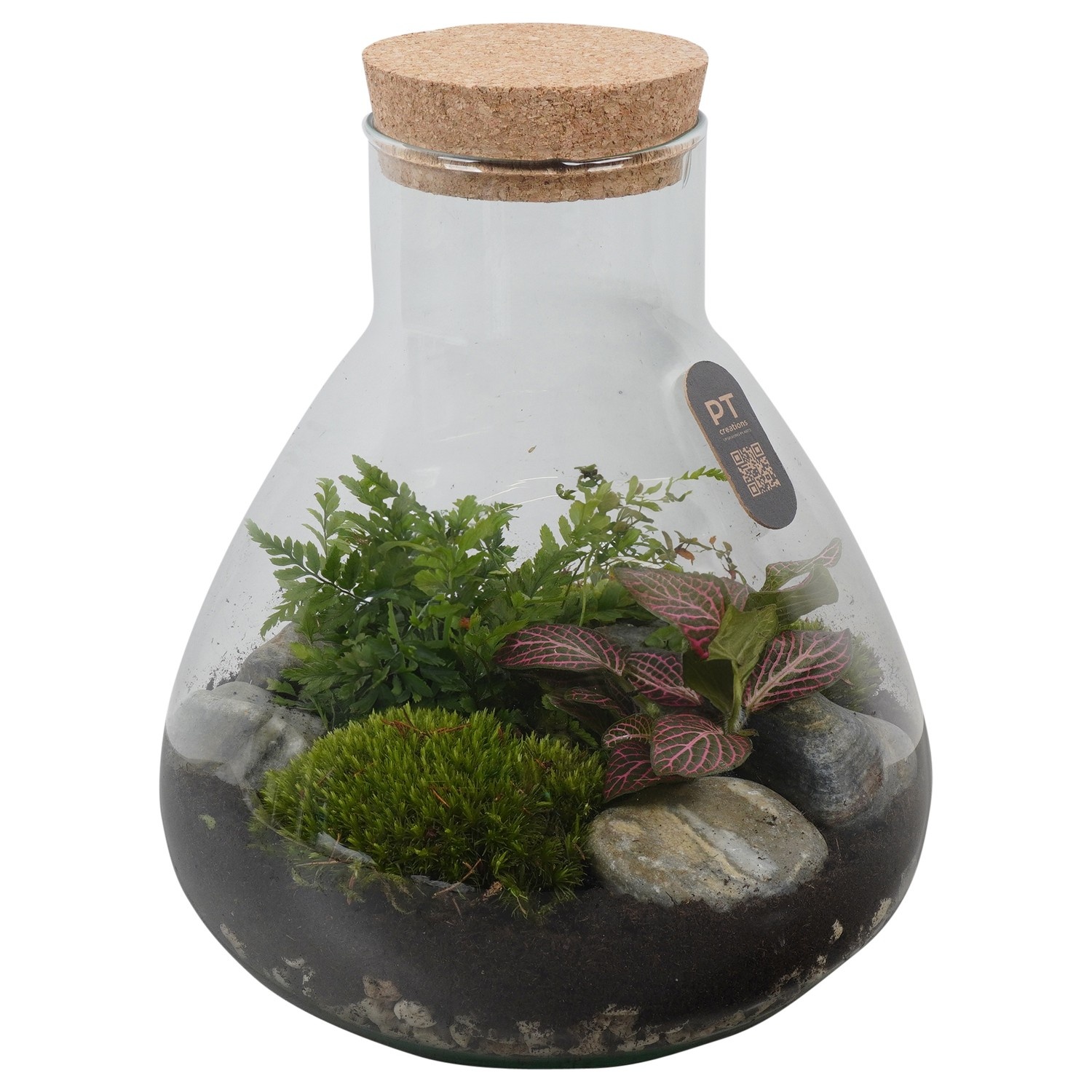 PTTER8119 Arrangement terrarium in glazen terrarium, D 23