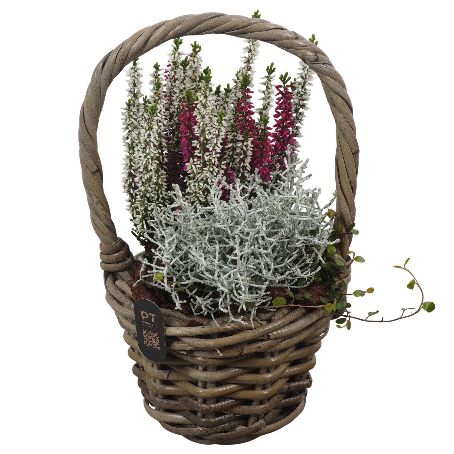 PTHO7501 Arrangement Autumn Outdoor in rieten mand, D 14