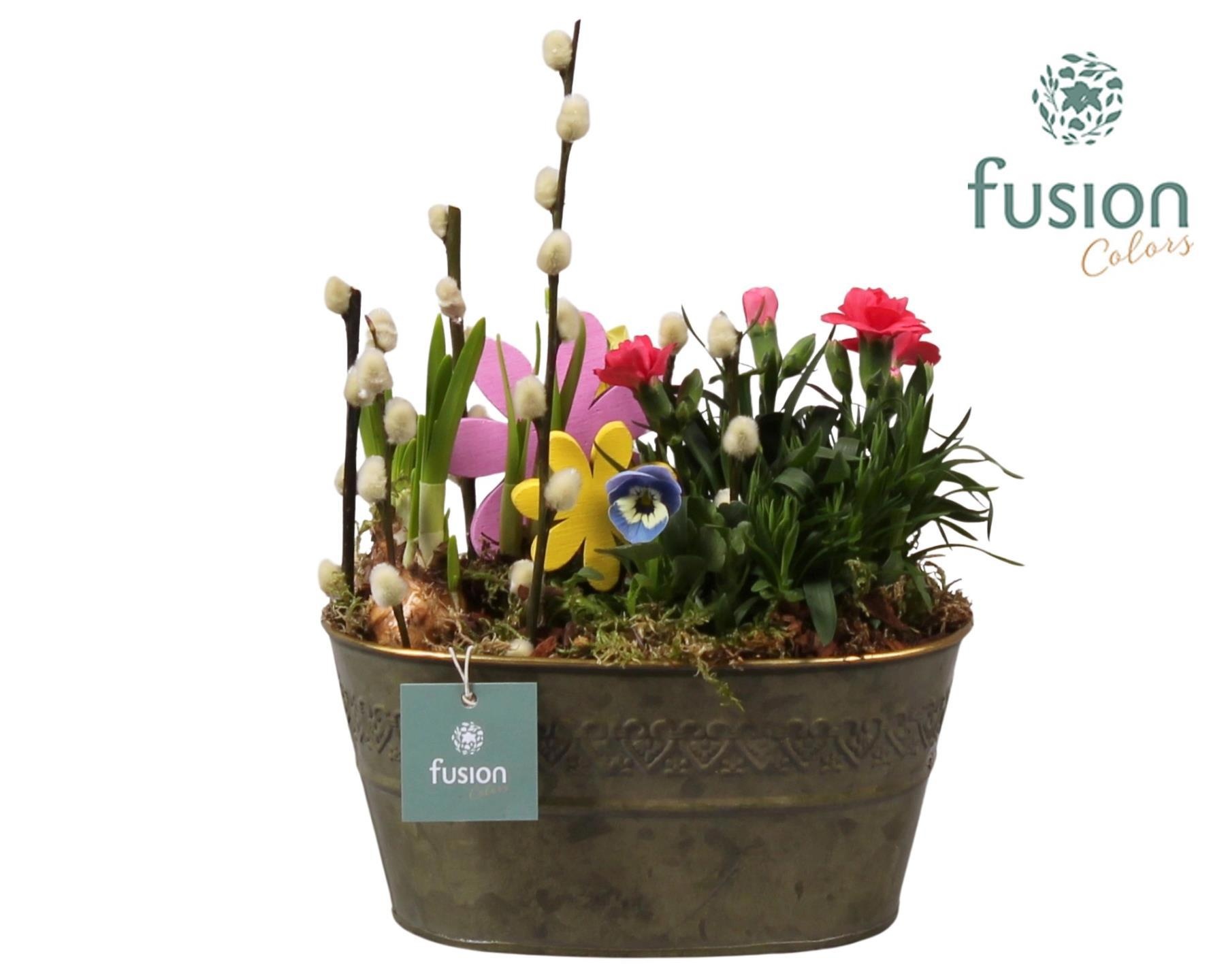 Schaal zink ovaal Voorjaar met Arrangement, D 20