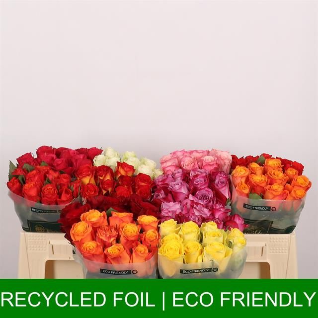Роза од. Микс в баке 35, шт.