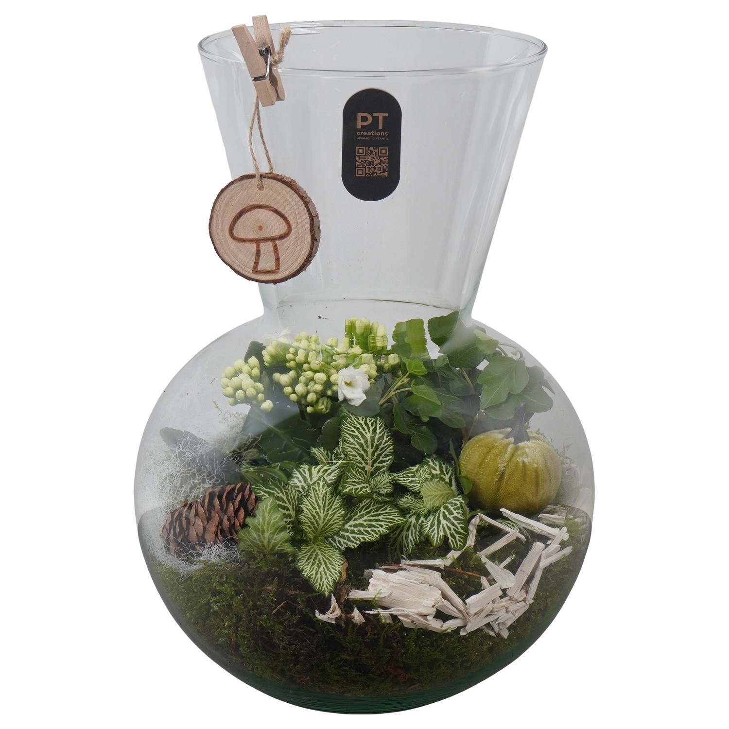 PTHG8250 Arrangement Autumn Glass in glazen vaas, D 21