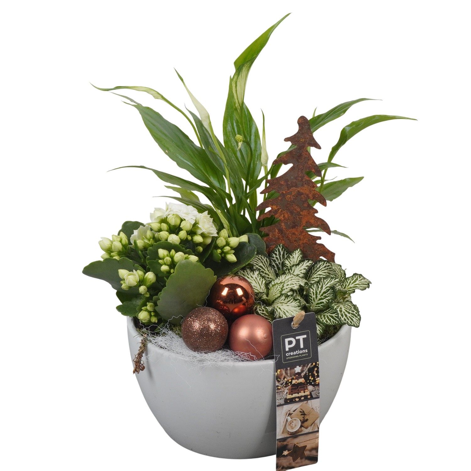 PTCHB9749 Arrangement Christmas Bronze in keramiek schaal, D 15 cm