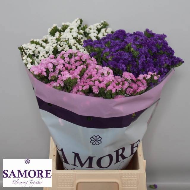 Статица Микс 45, шт.