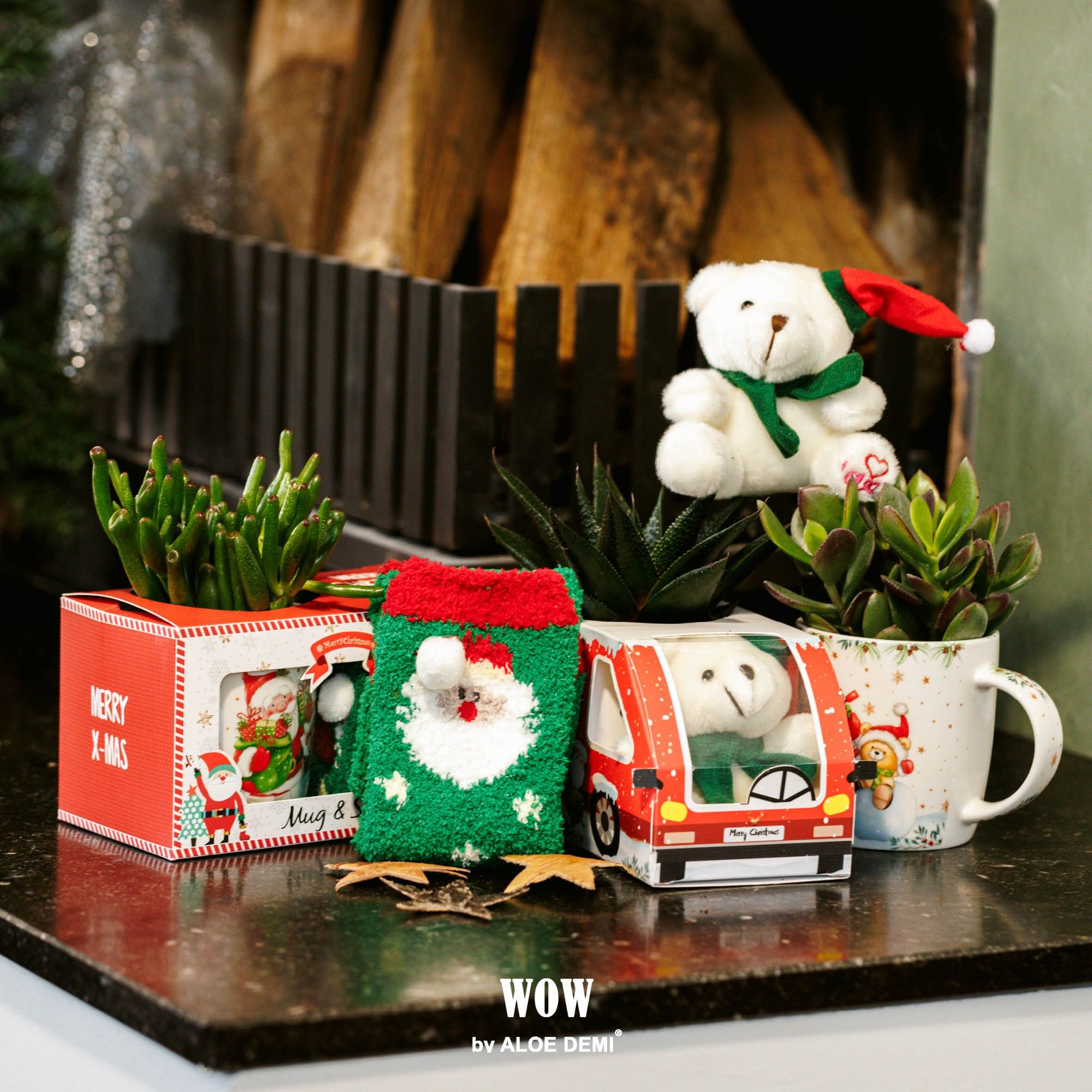 WOW Succulent, X-Mas mug and bear + mug and sock, D 20 cm