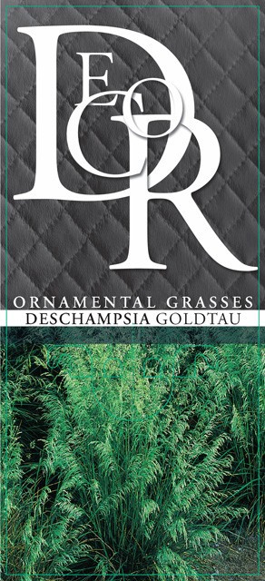 Deschampsia Goldtau, D 23