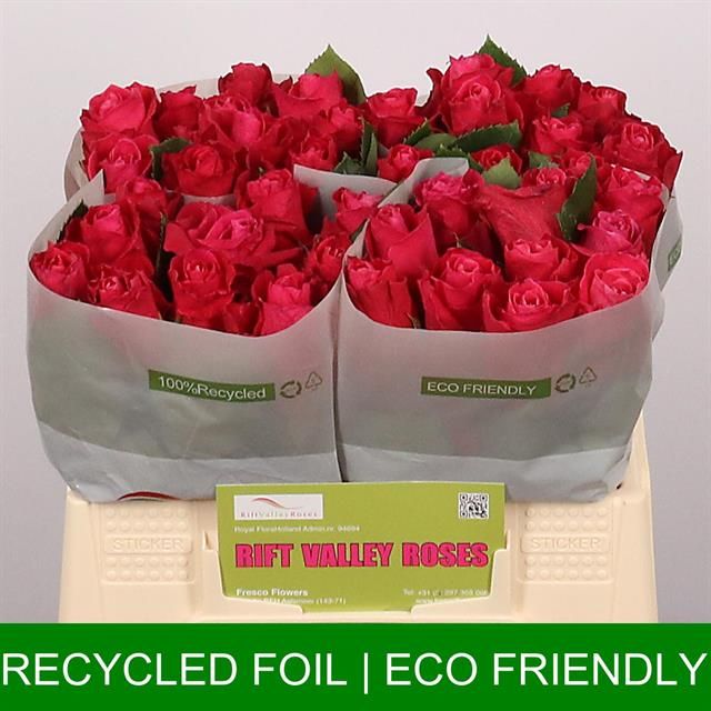 Роза од. Муви Стар 35, шт.