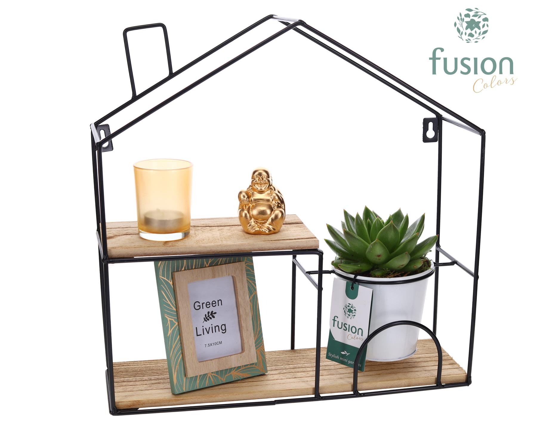 Wandhuis metaal met Crassula, D 36