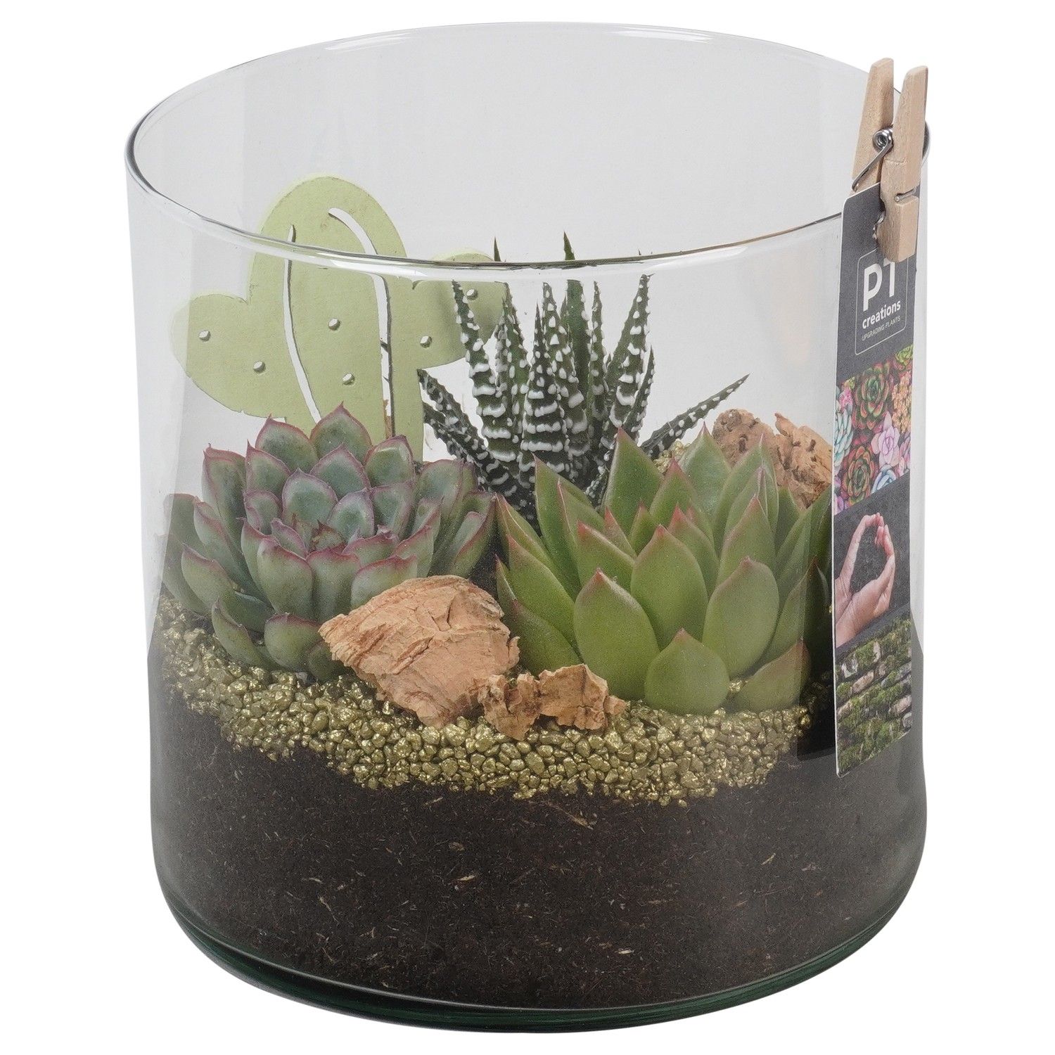 PTSU8417 Arrangement Succulenten in glazen vaas, D 15