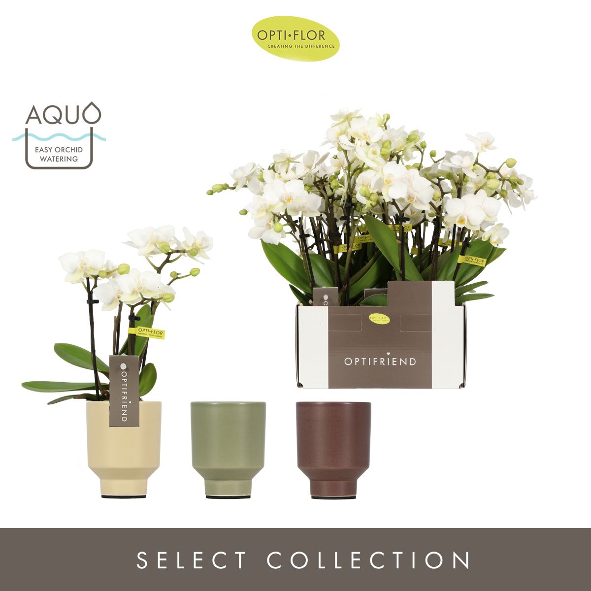 Optifriend Sandra 4 spike in Emilia Mix Aquo, D 7 cm