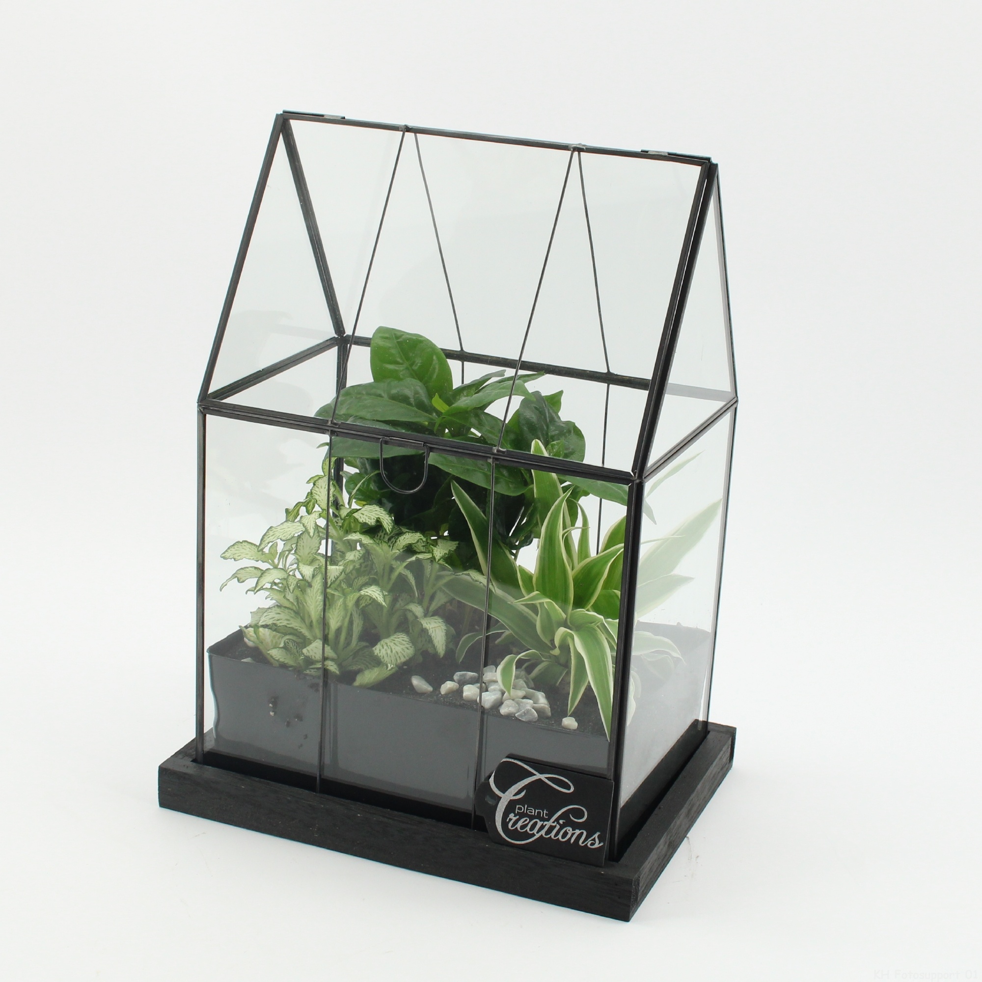 GRCR-2617 Green Essentials terrarium, D 23