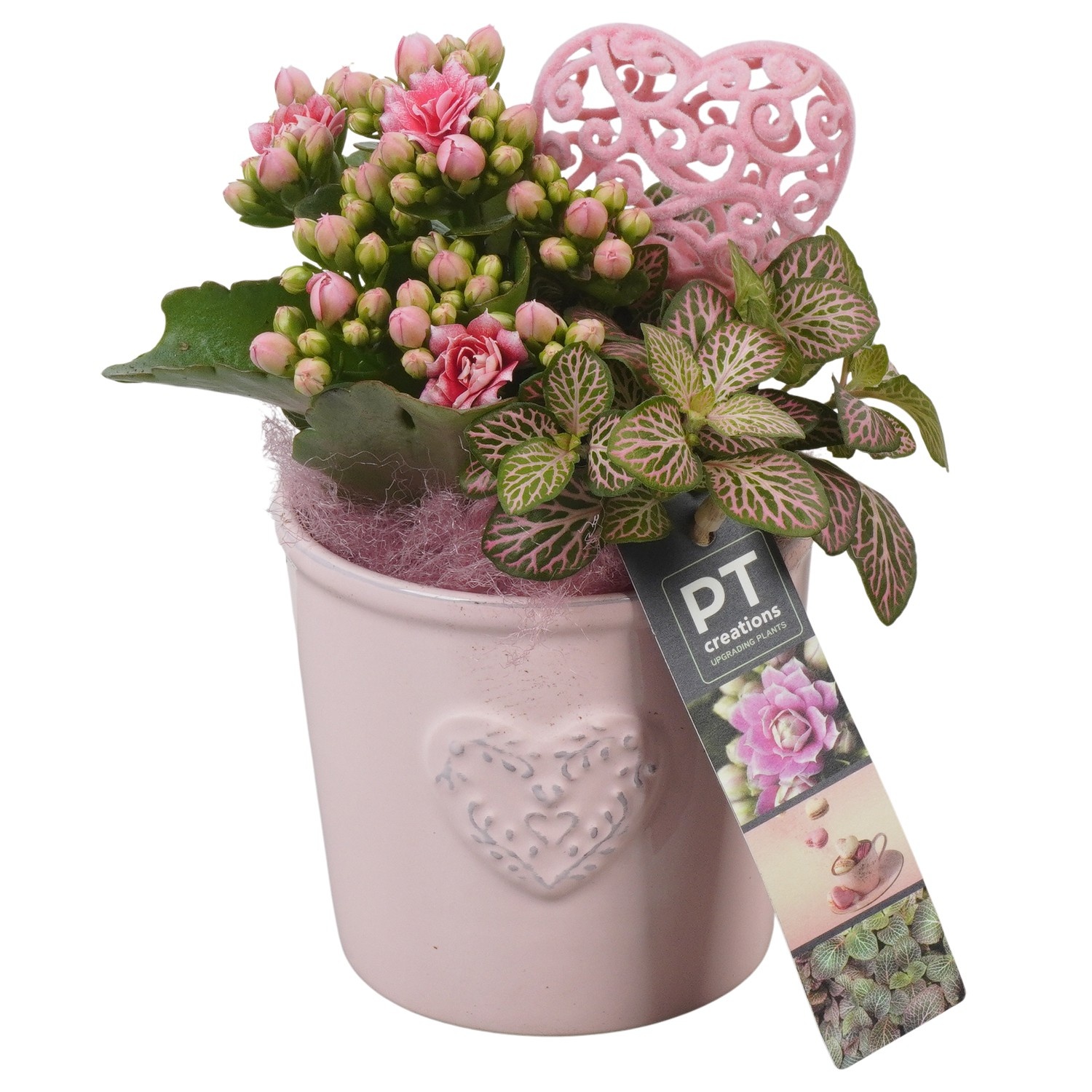 PTVMB2248 Arrangement Valentines-Mothersday in keramiek sierpot, D 10