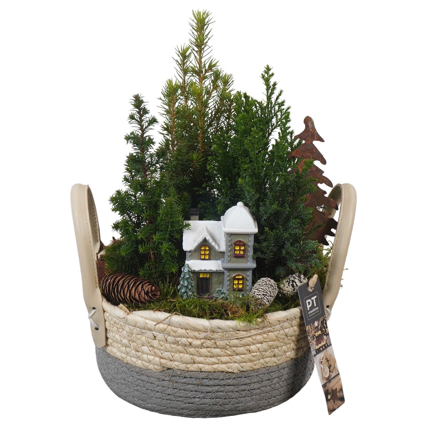 PTCWW6891 Arrangement Winter in rieten mand, D 21 cm
