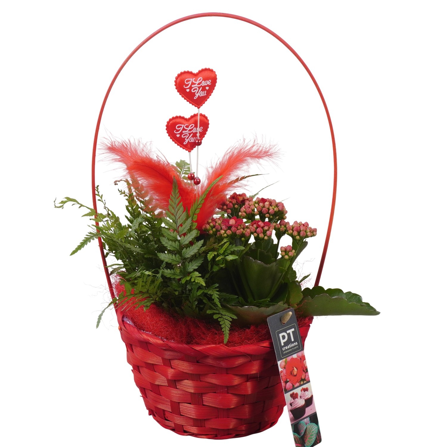 PTVMB2355 Arrangement Valentines-Mothersday in riet mand, D 16