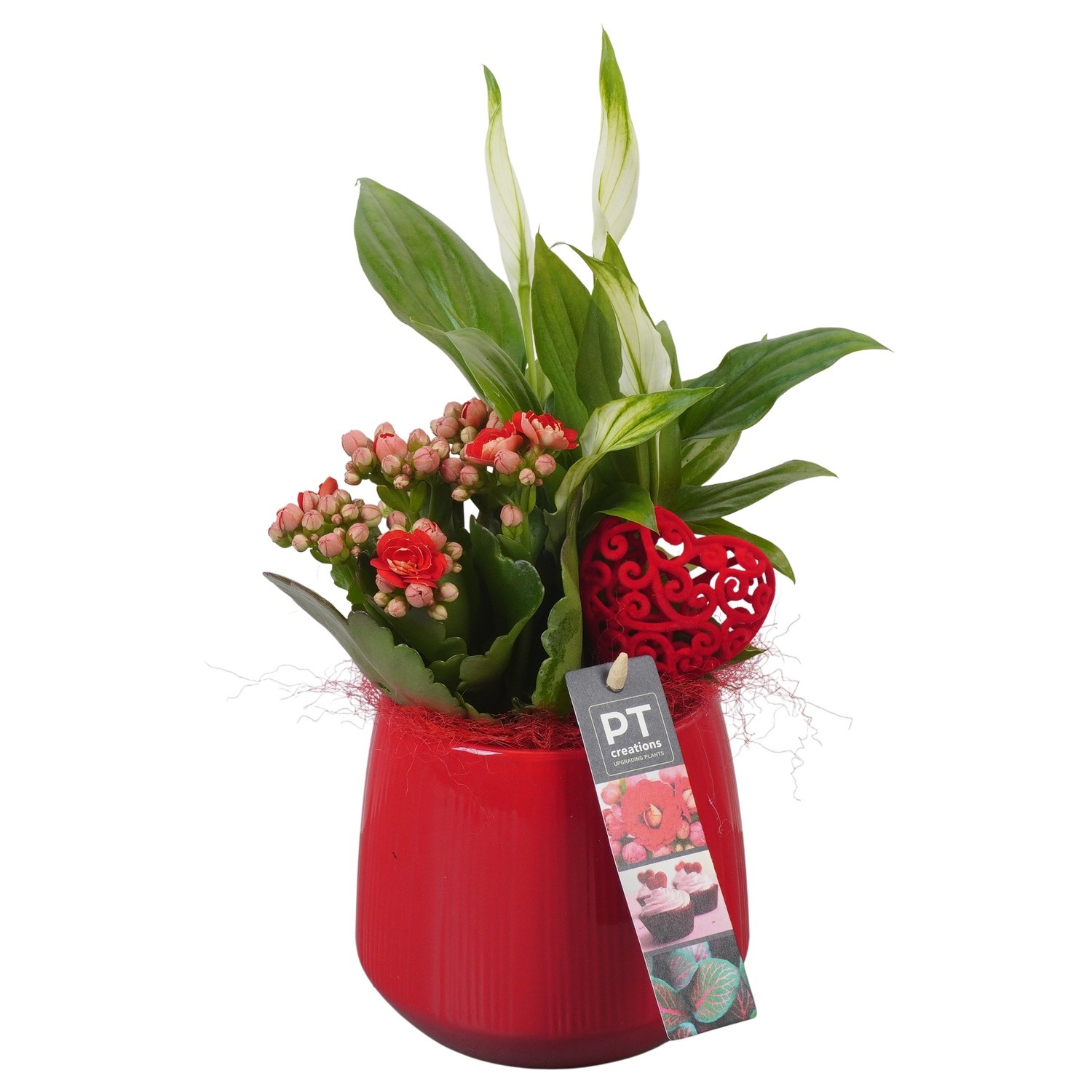 PTVMB2239 Arrangement Valentines-Mothersday in keramiek sierpot, D 12