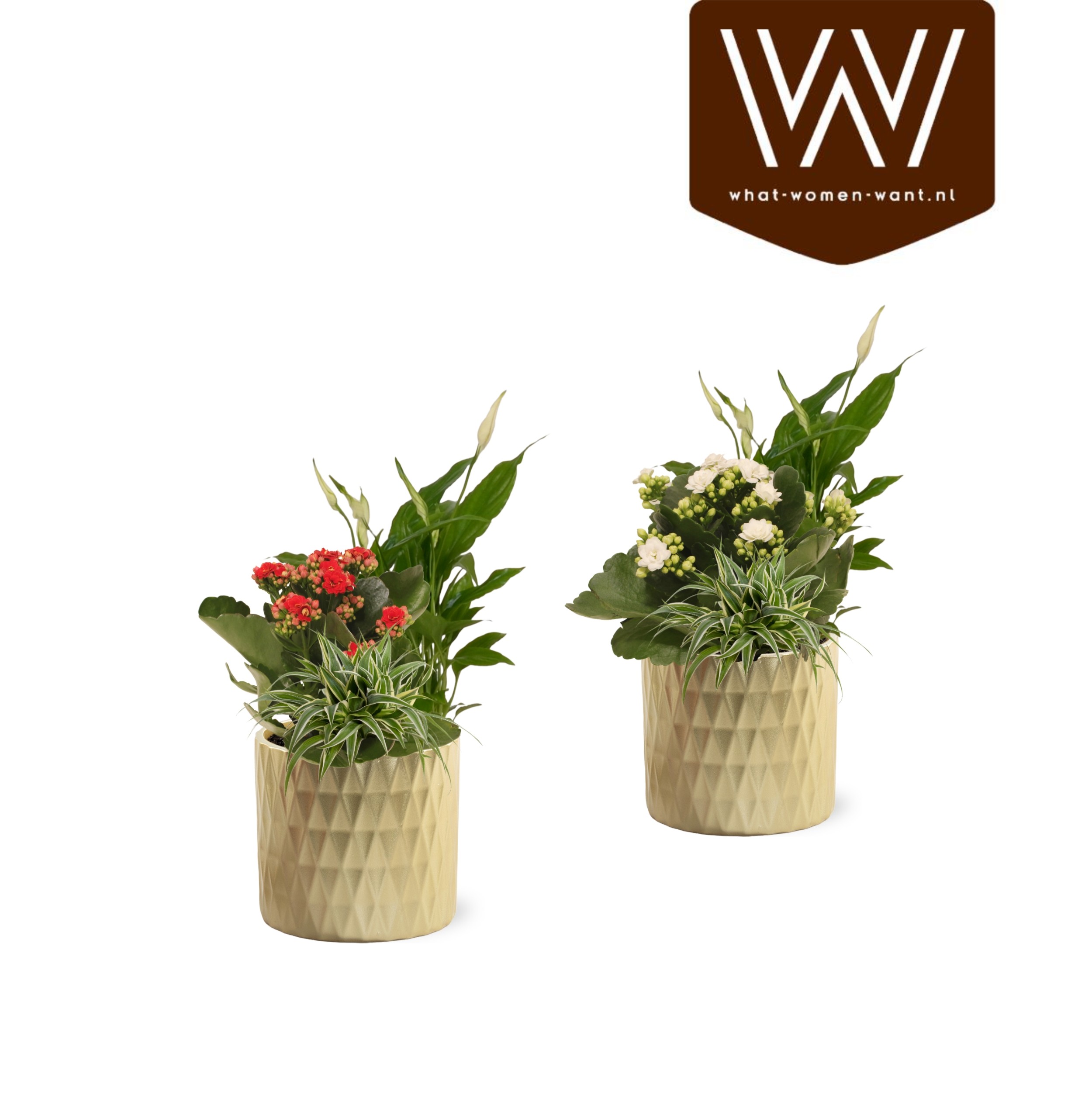 Collectie 'Luxury world' - Arrangementen in keramiek Paige, D 12