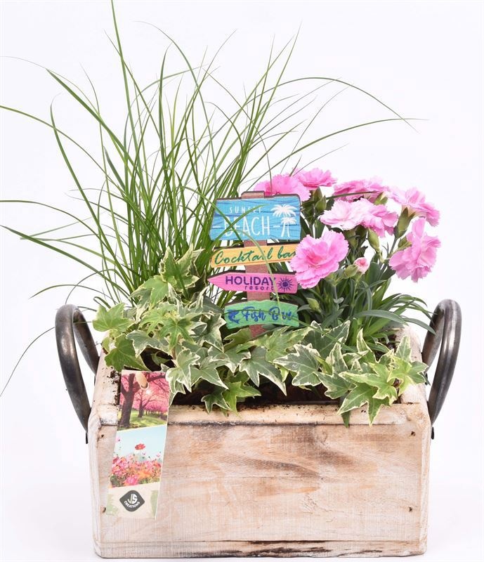 Hout rechthoek met handvat 20x13cm, D 20