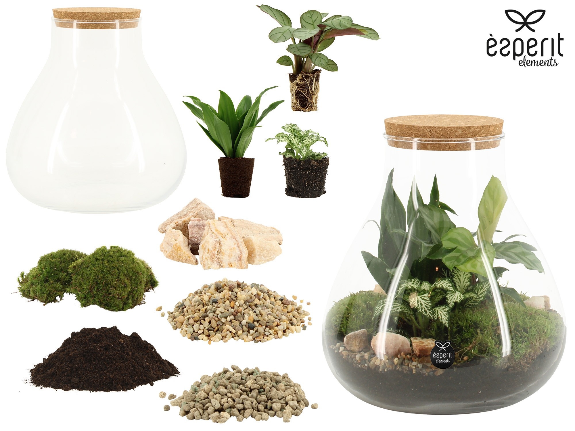 90856: DIY Terrarium arrangement, D 22