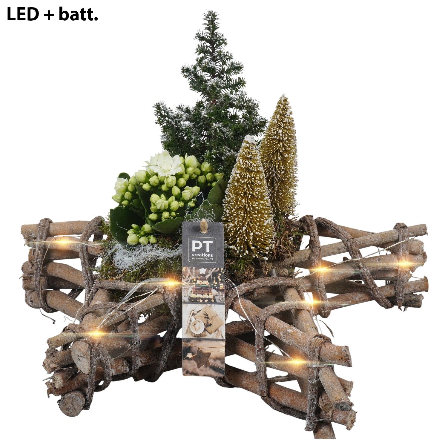 PTCHG5701 Arrangement Christmas Gold in houten ster, D 33 cm