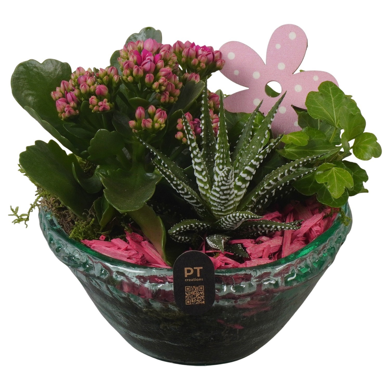 PTIG2632 Arrangement Indoor in glas schaal, D 15