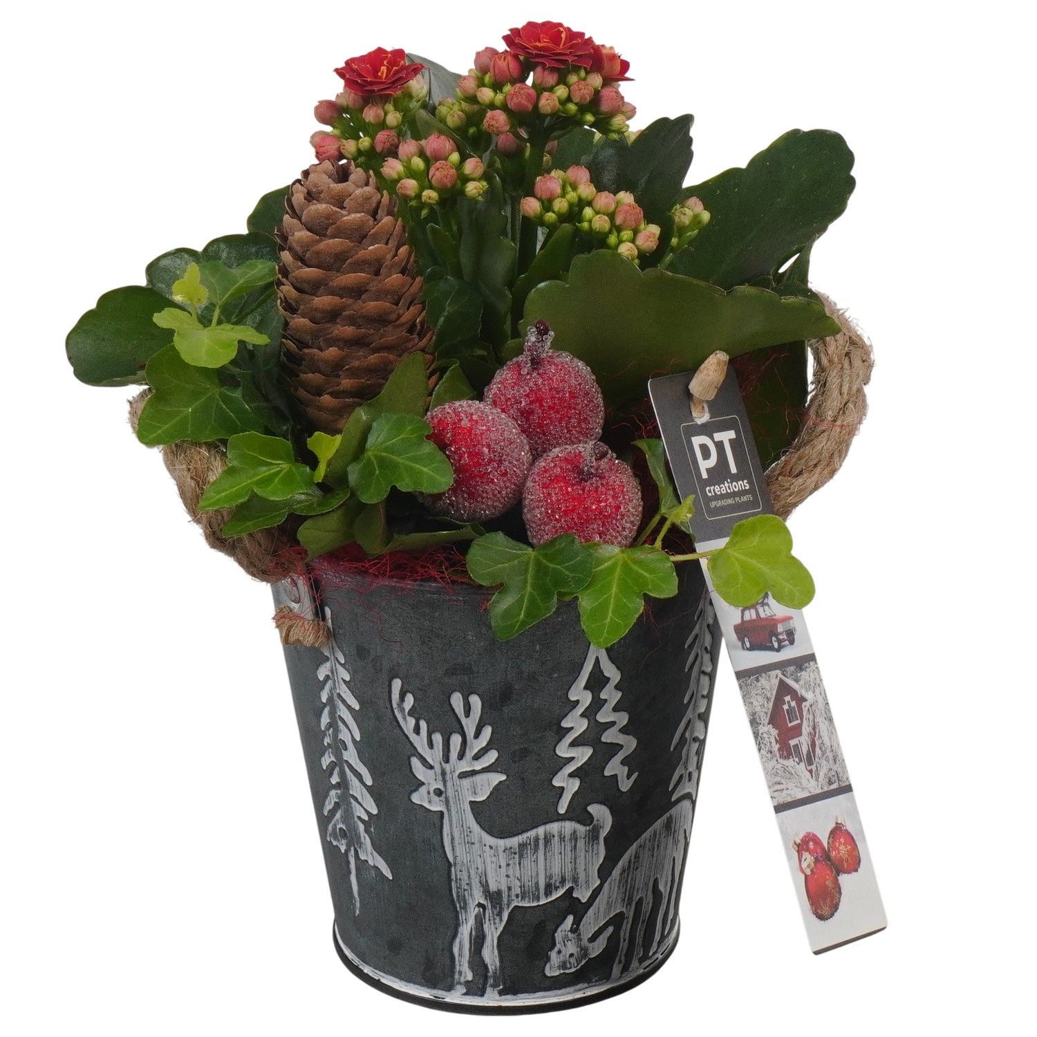 PTCHR7334 Arrangement Christmas Red in metaal pot, D 10 cm