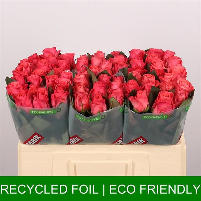 Роза од. Пинк Такази+ 50, шт.
