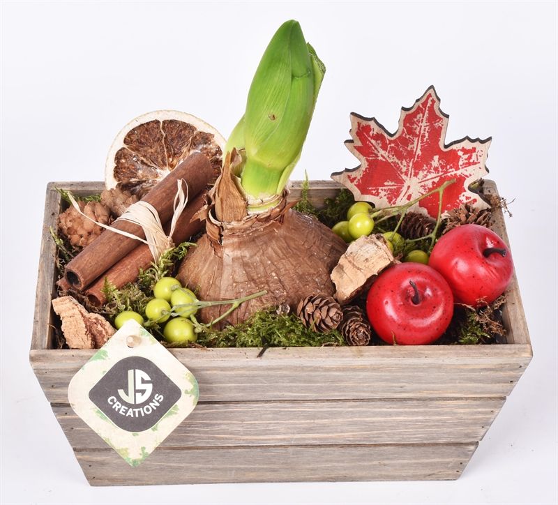 Hout rechthoek 22x13cm, D 22 cm