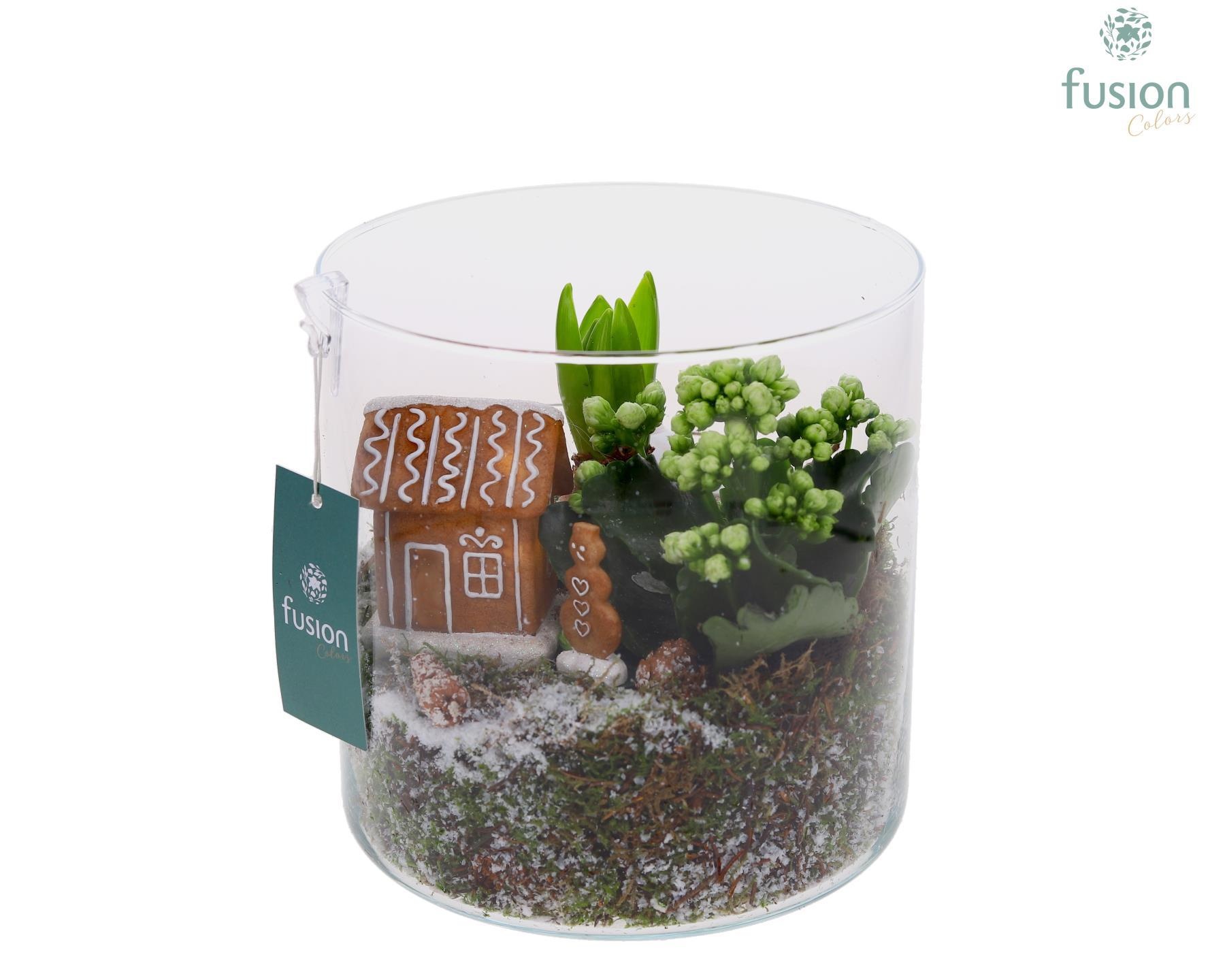 Glas Cilinder Kerst met Arrangement, D 19