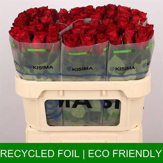 Роза од. Мадам Рэд 70, шт.