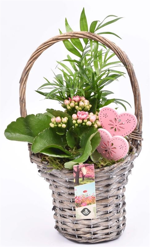 Wilg hengselmand gy 17cm, D 15