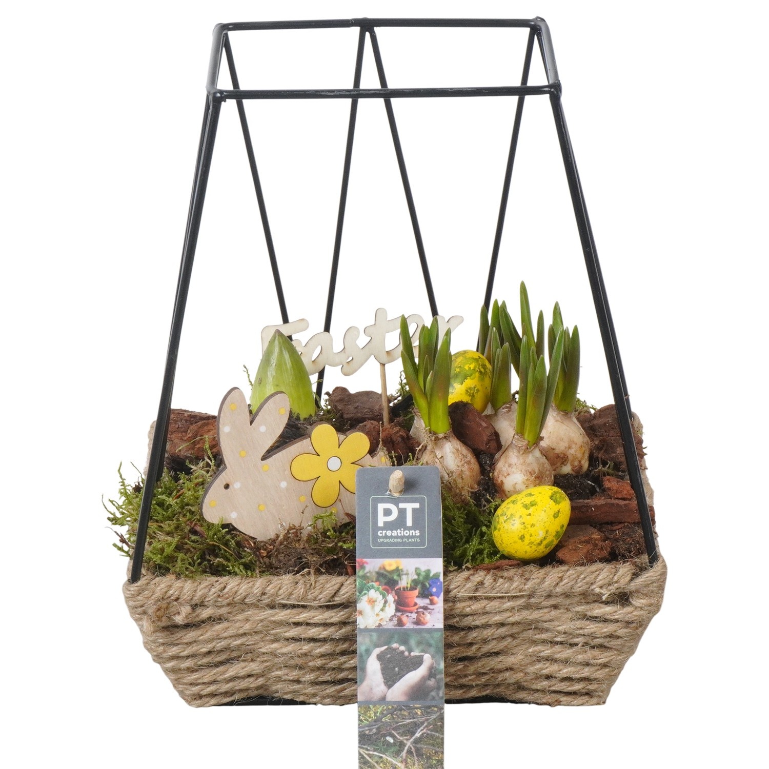 PTBMP5703 Arrangement Easter Bulbs Mix in touwmand met metaal, D 19