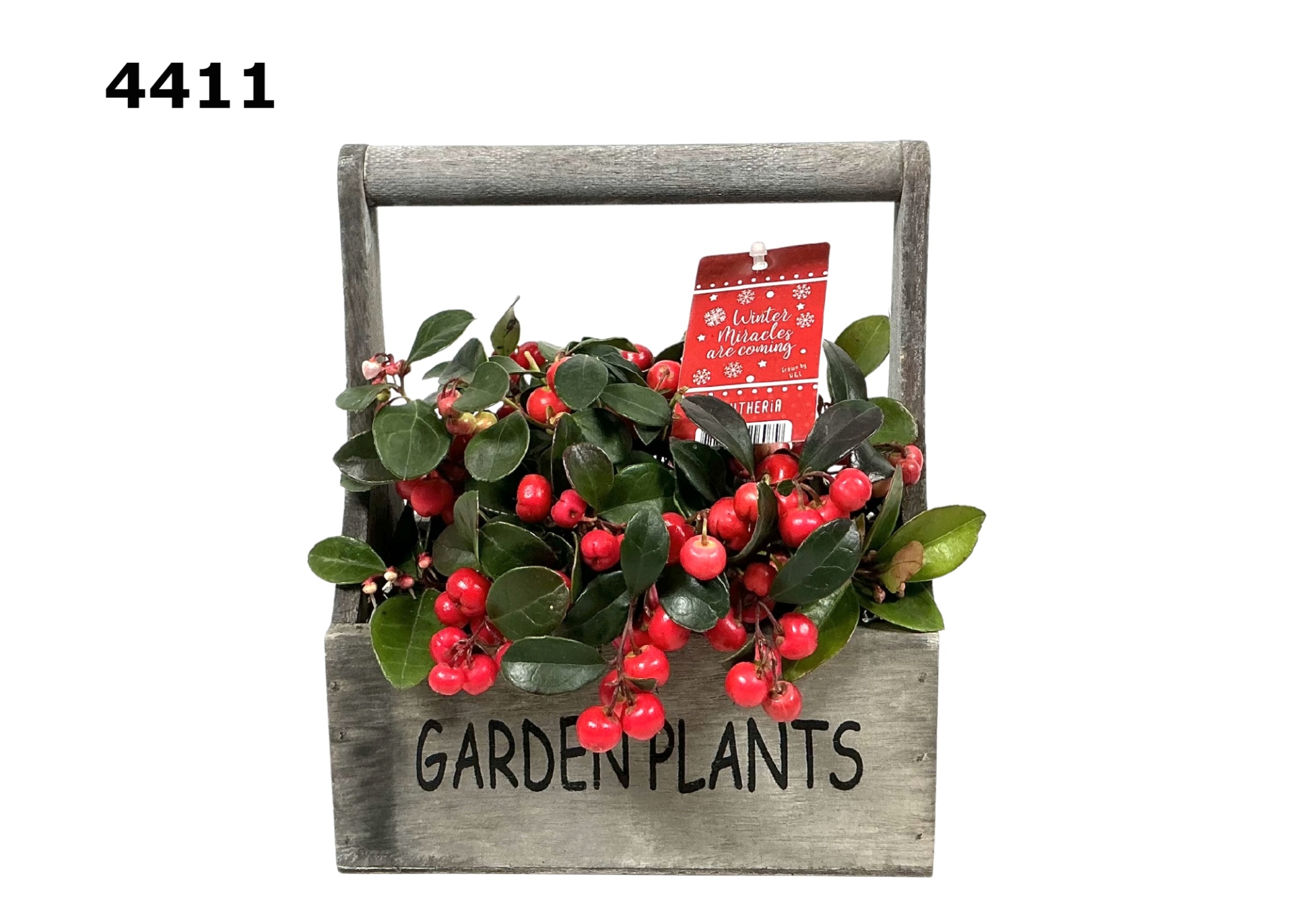 Hengselkistje M gaultheria, D 17 cm Hengselkistje M gaultheria, D 17 cm