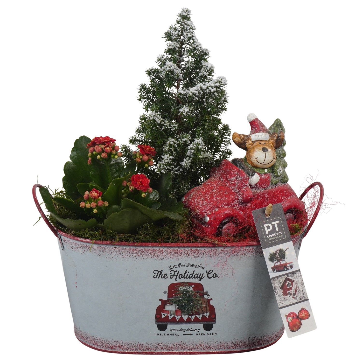 PTCHR7342 Arrangement Christmas Red in metaal pot ovaal, D 23 cm