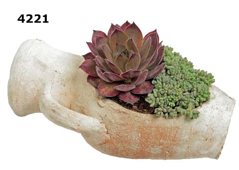 Sempervivum kruik M, D 21 cm Sempervivum kruik M, D 21 cm