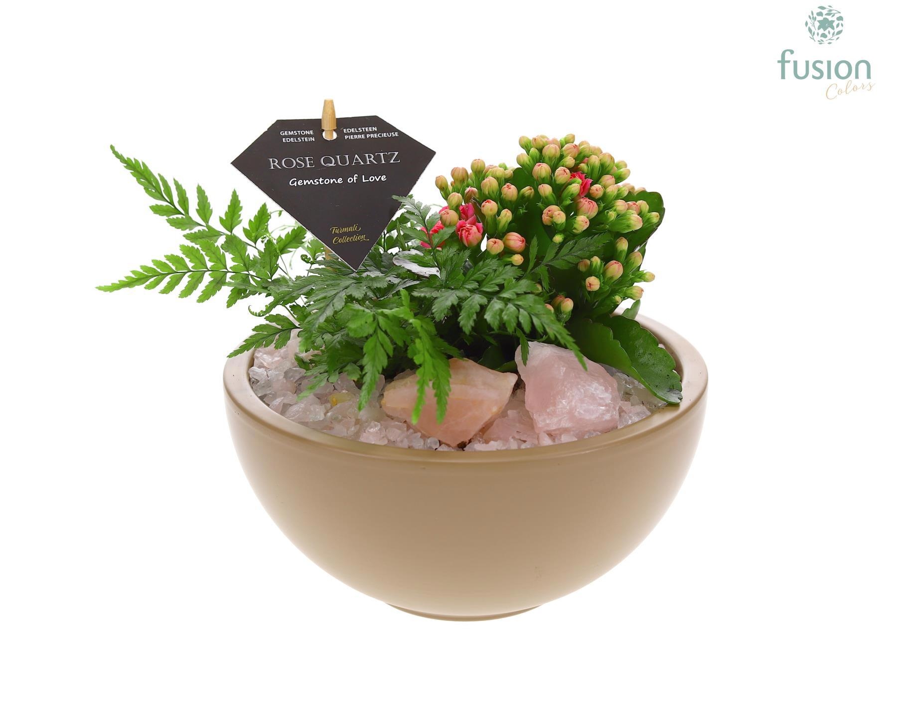 Schaal keramiek Moon Medium beige met Arrangement, D 18